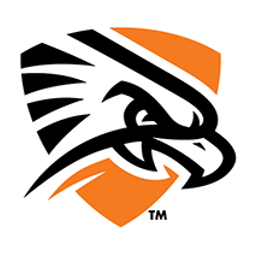 UT Permian Basin